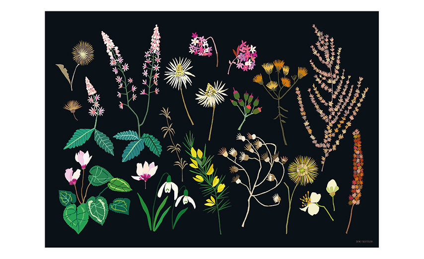 Late Winter Print A3