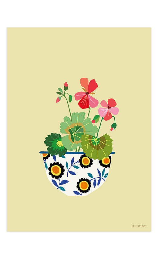 Pelargonium Print