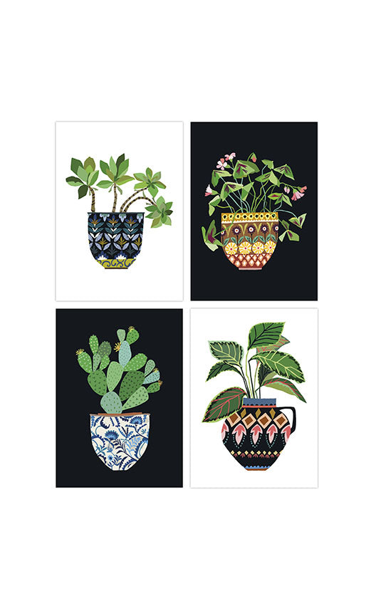 House Plant Series Postcard Pack