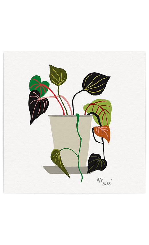 Anna's Kitchen Vine Giclée Print