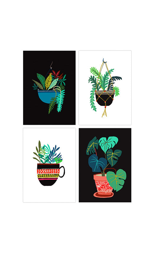 Pot Plant Series Postcard Pack