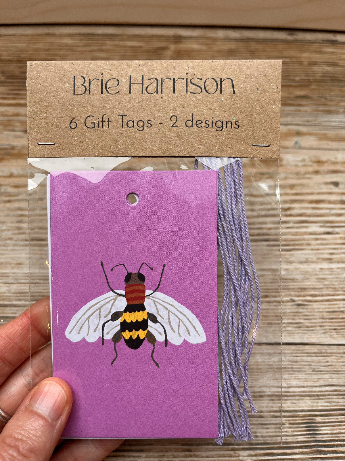 Insects Gift Tags Pack