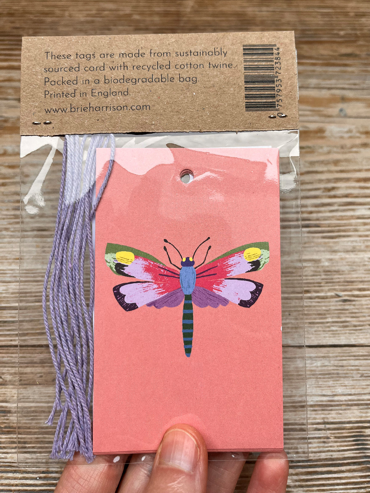 Insects Gift Tags Pack