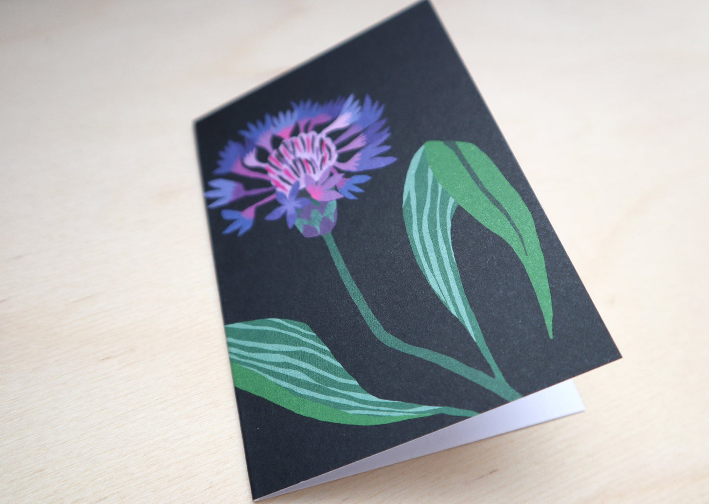 Mountain Cornflower Mini Card Pack
