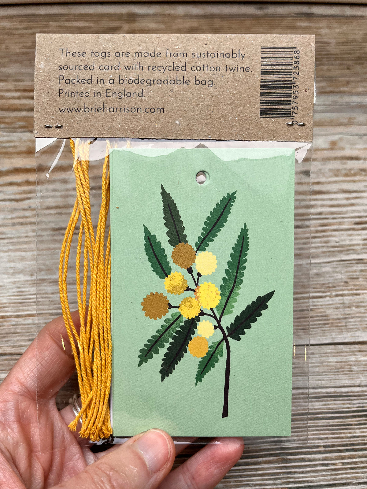 Mimosa Gift Tags Pack
