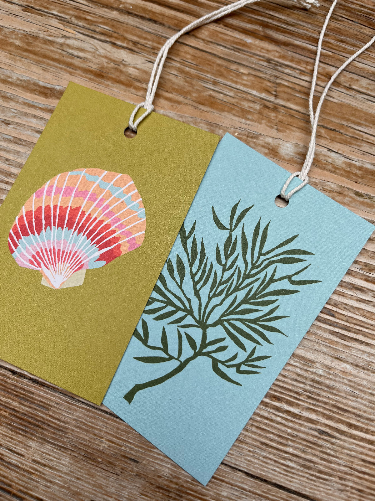 Shells Gift Tags Pack