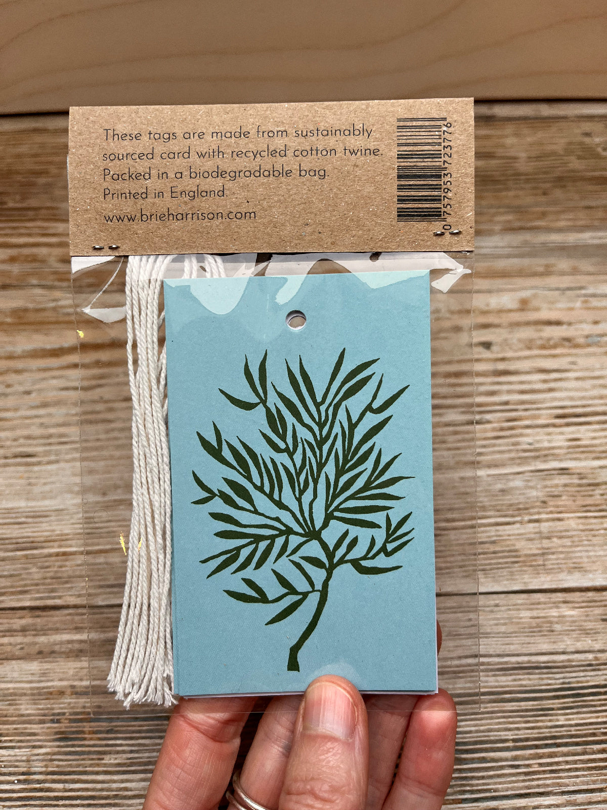 Shells Gift Tags Pack
