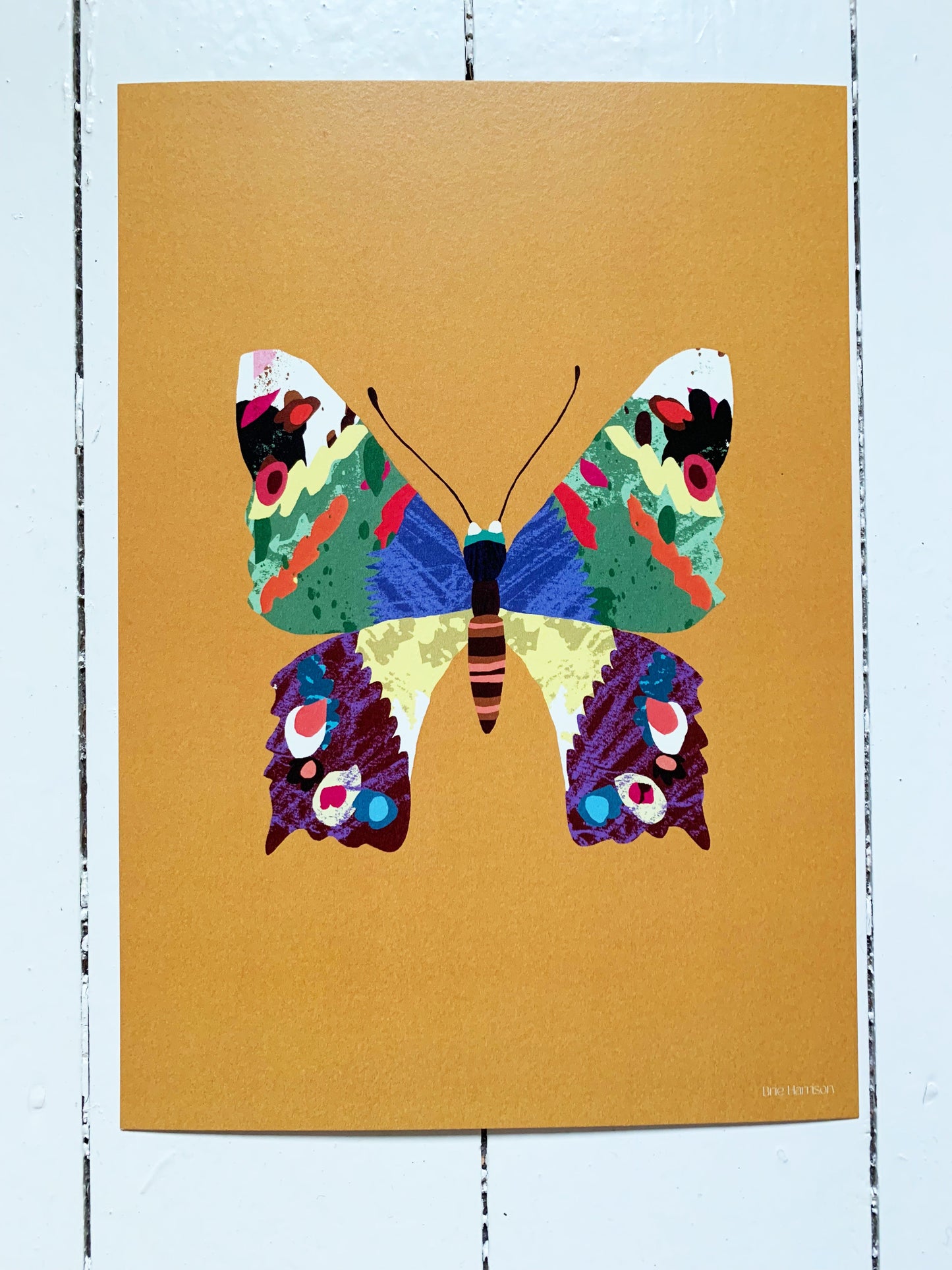 Butterfly Print A4