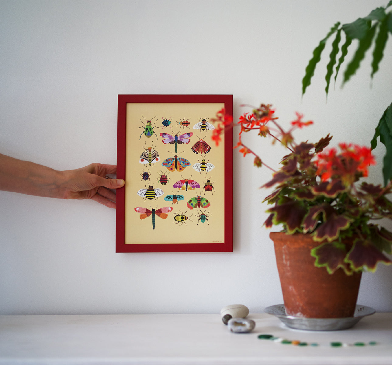 Insects Print