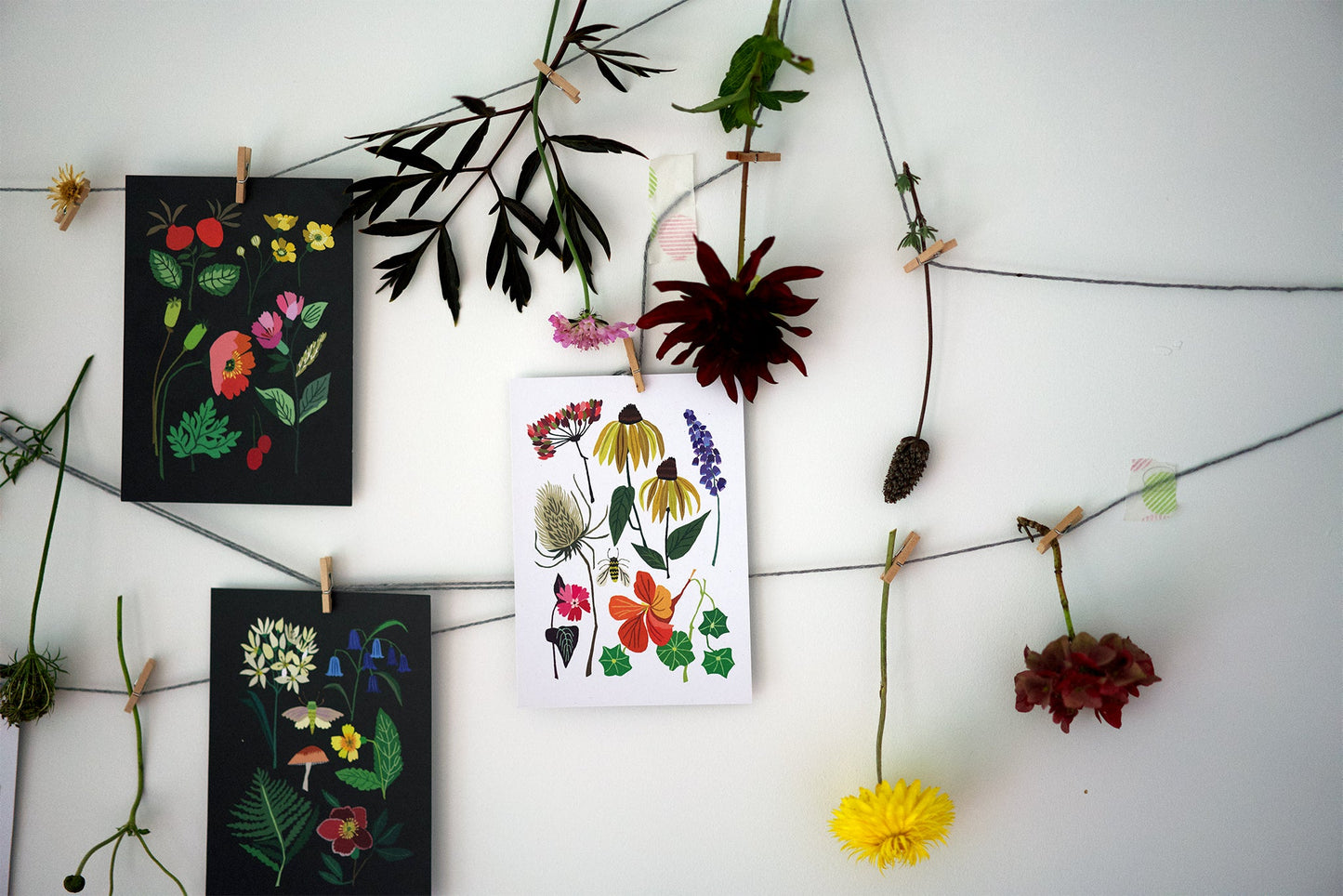 Nature Series Postcard Pack