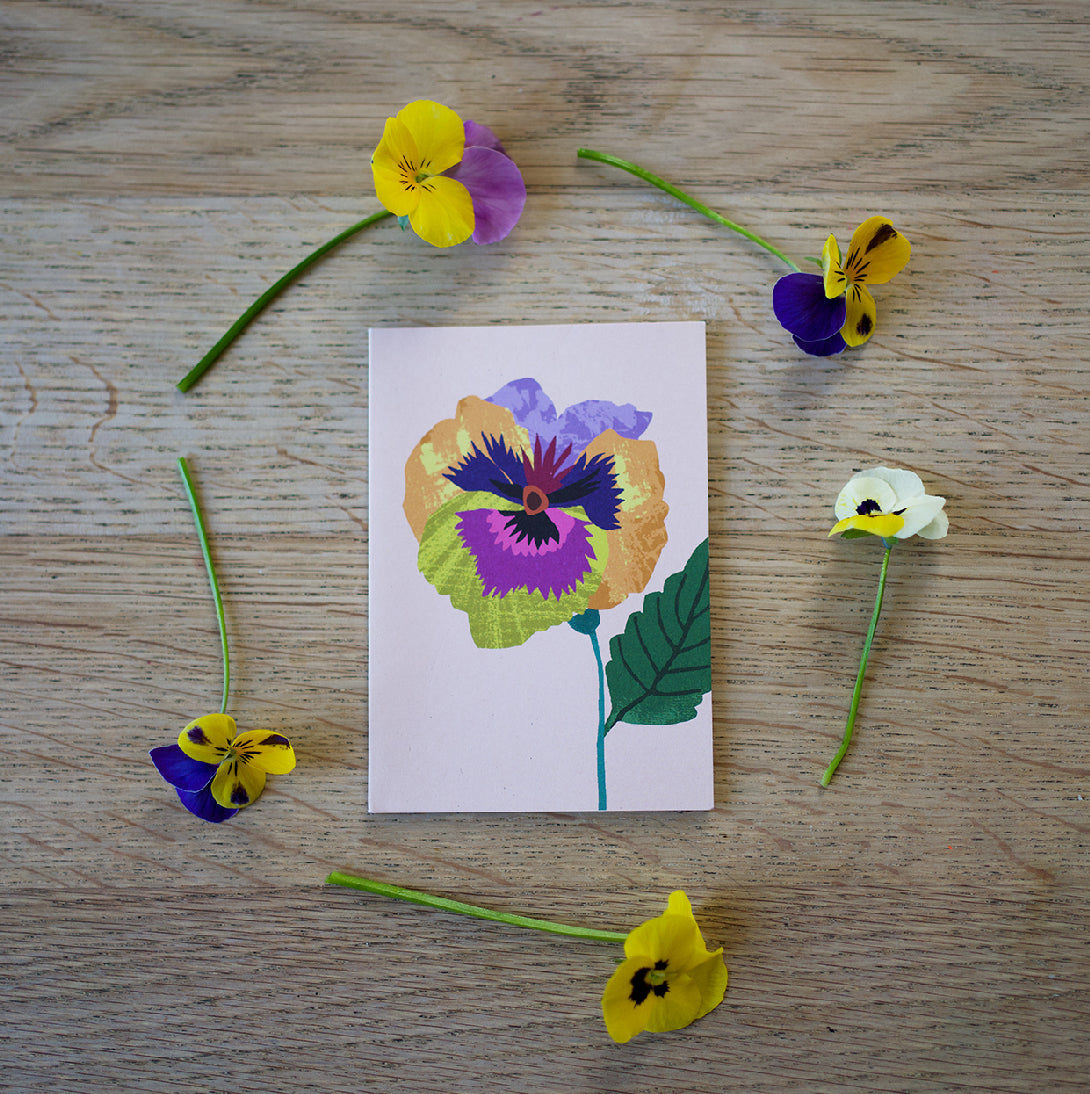 Pansy Mini Card Pack