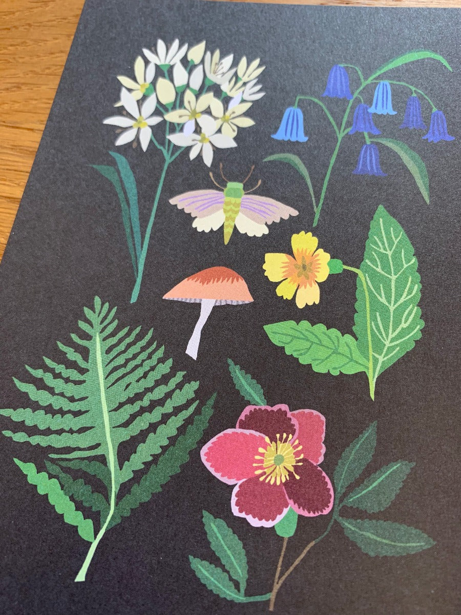 Nature Series Postcard Pack