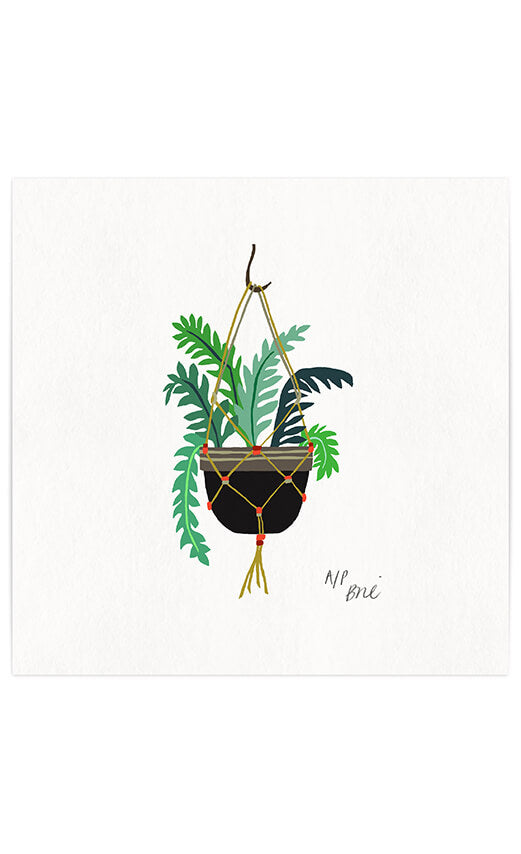 Hanging Ferns Giclée Print