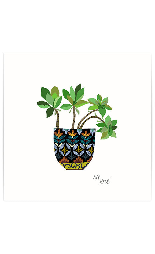 Roof Leeks Giclée Print