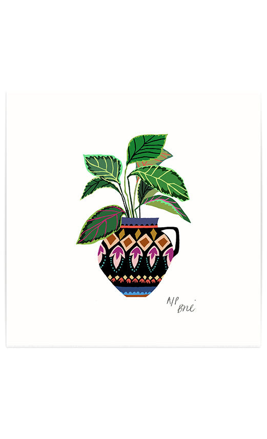 Prayer Plant Giclée Print