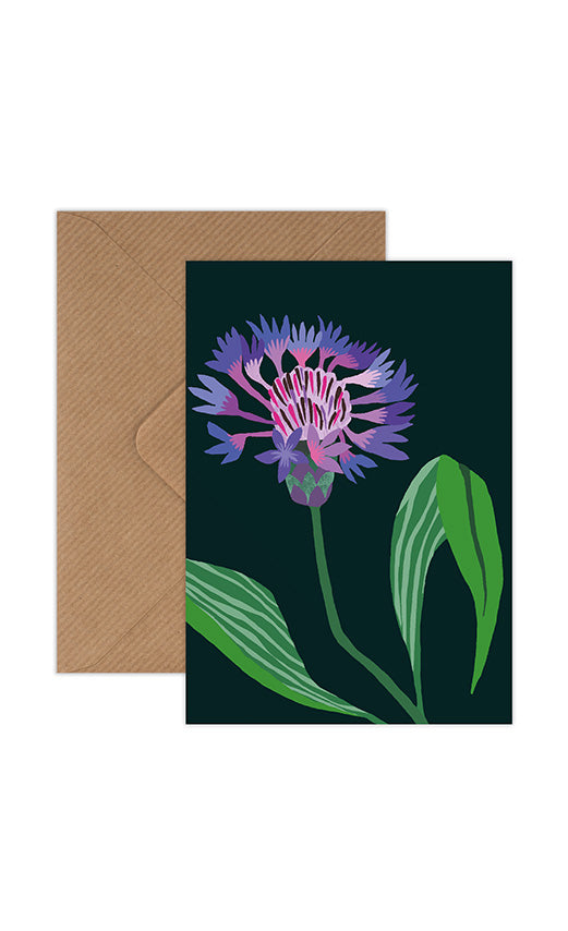 Mountain Cornflower Mini Card Pack