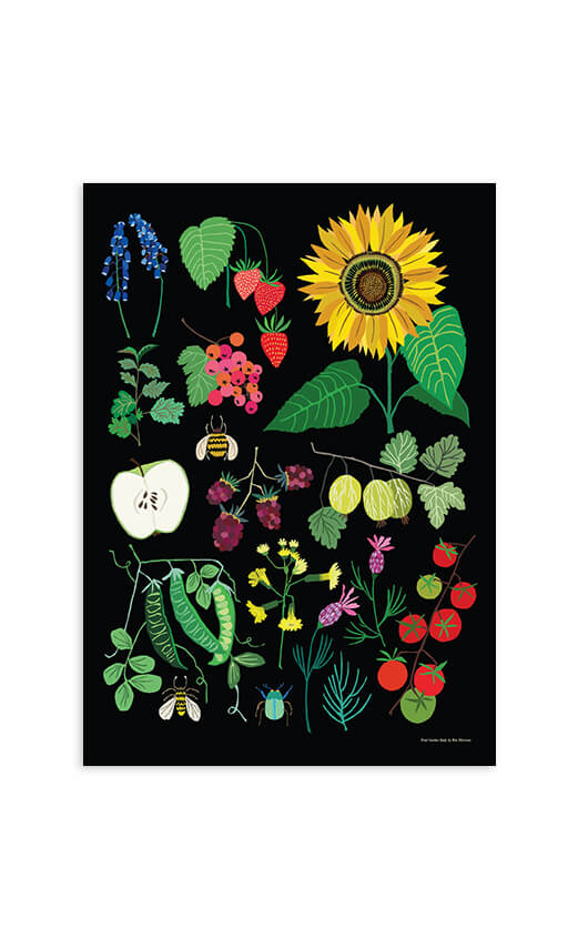 Fruit Garden Study Print A3
