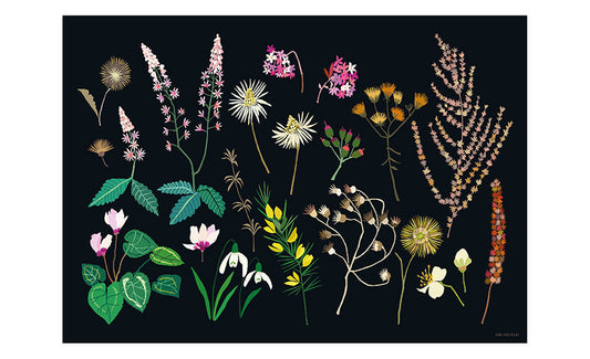 Late Winter Print A3