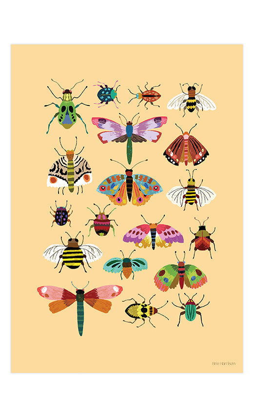 Insects Print