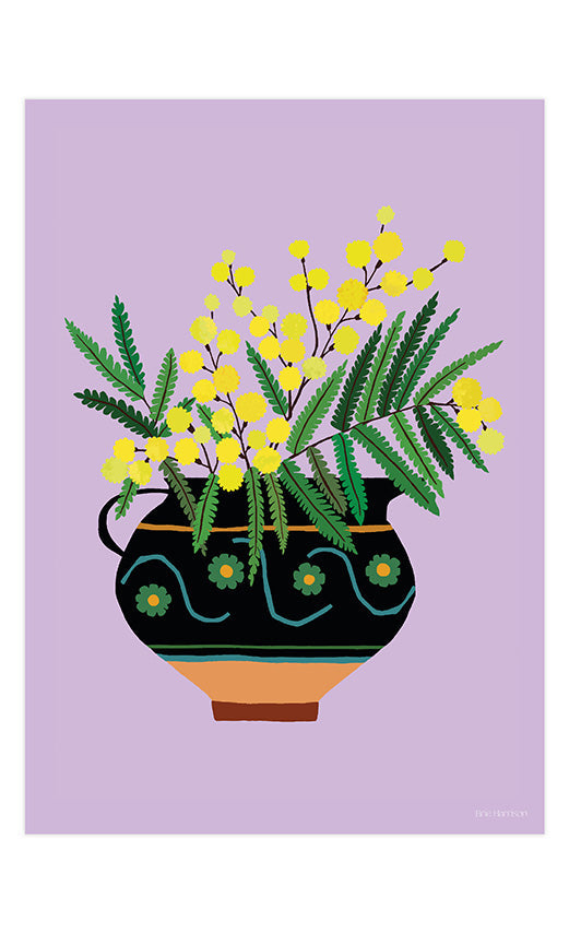 Mimosa Jug Print