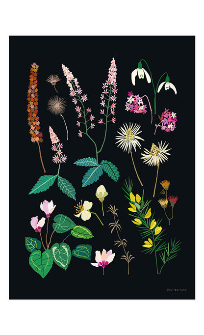 Late Winter Print A4