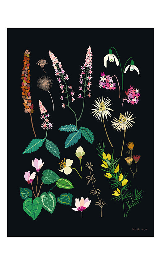 Late Winter Print A4