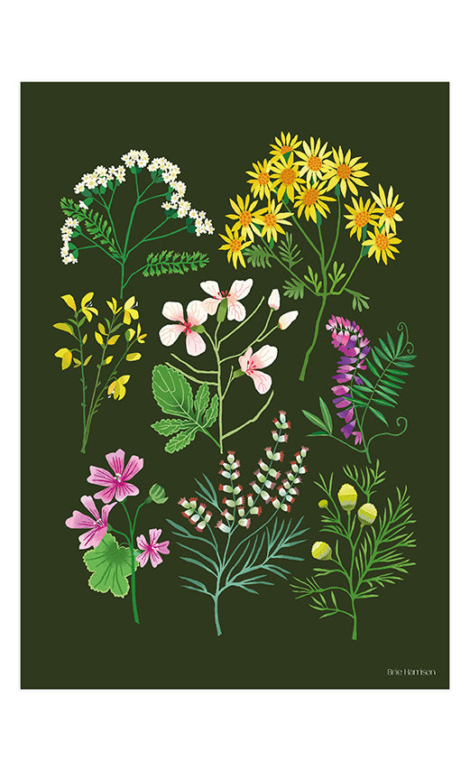 A Walk at Snape Maltings Print