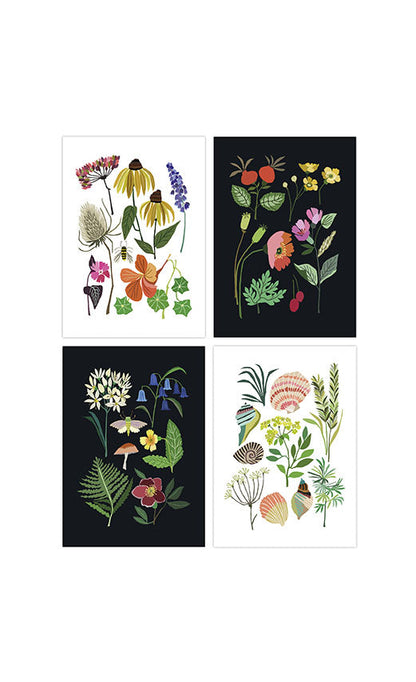 Nature Series Postcard Pack