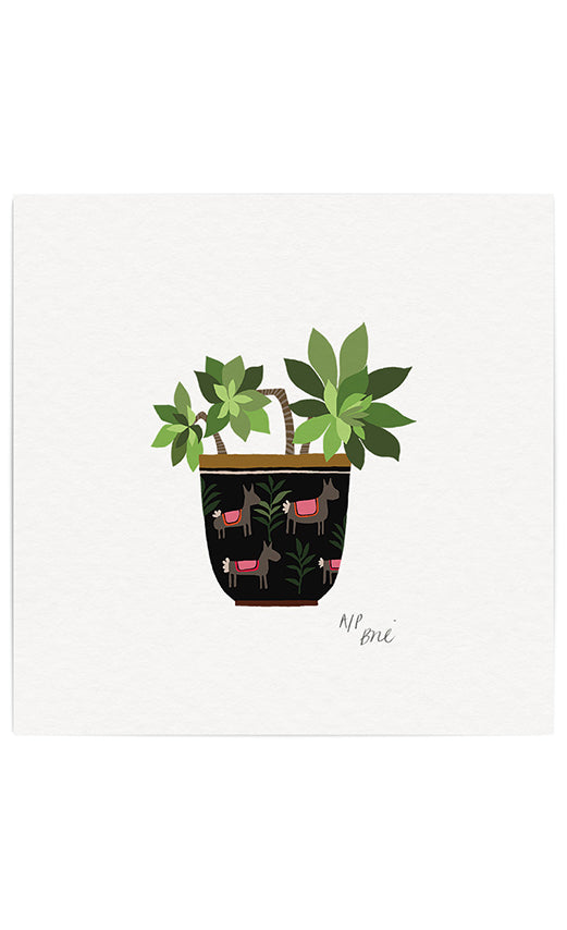 Succulent Giclée Print