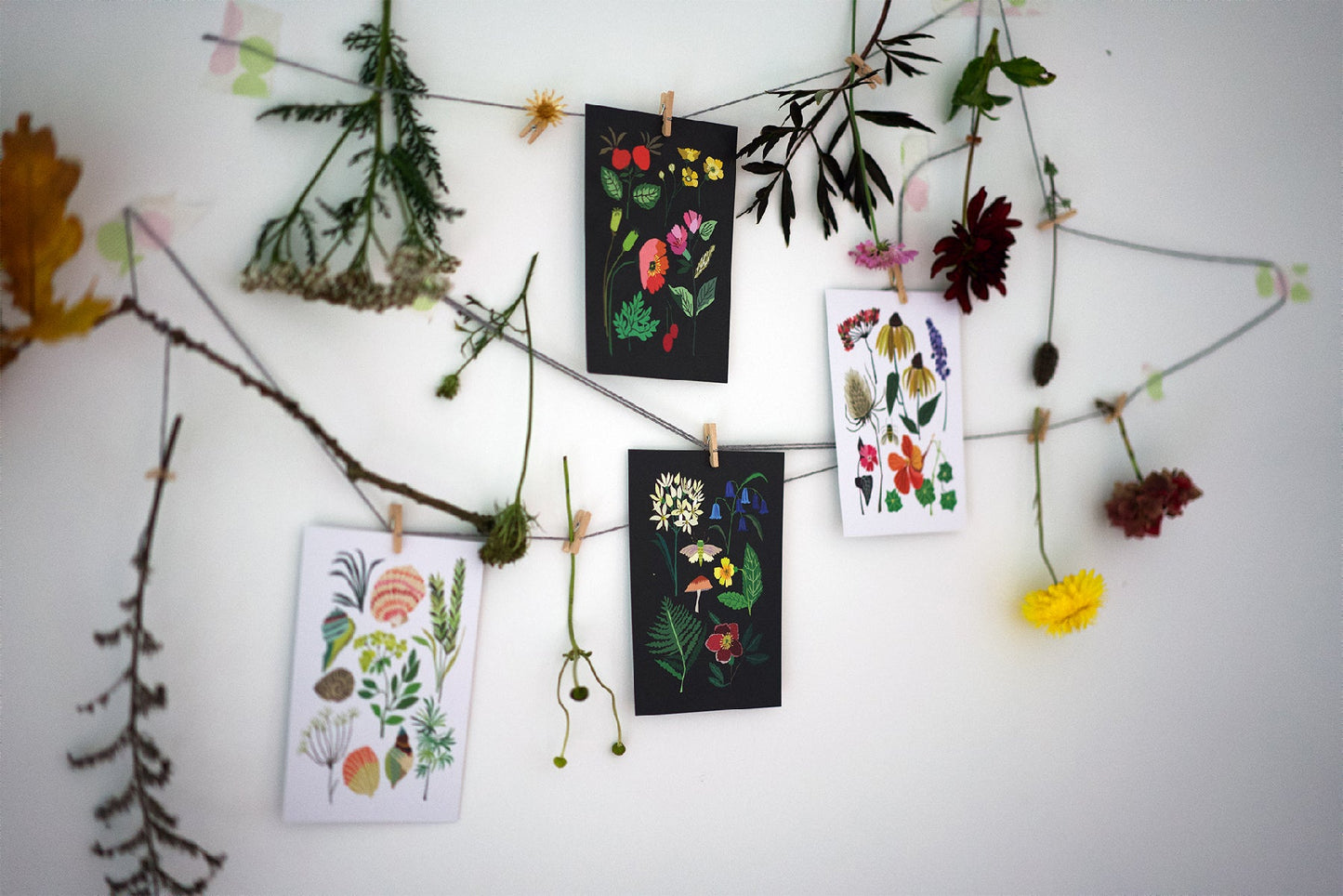 Nature Series Postcard Pack