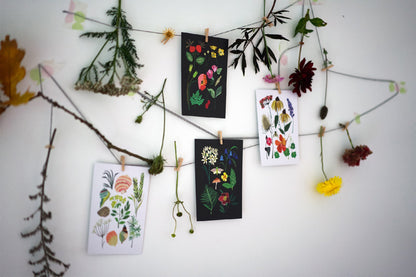 Nature Series Postcard Pack
