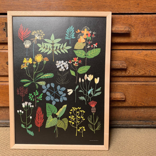 Plant Study Print A3