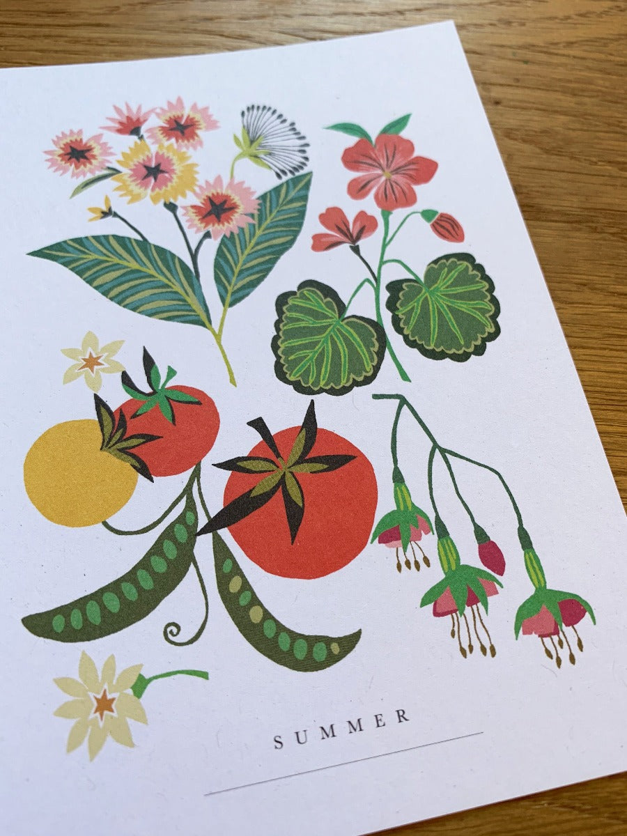 Seasons Series Postcard Pack